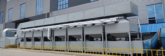 开云的网站是多少